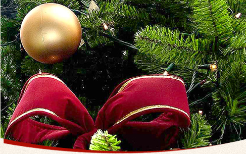 Christbaum Bad Honnef - Hof Kickartz Unsere Christbäume aus Bad Honnef zu fairen Preisen.