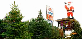 Sie finden Ihren Weihnachtsbaum Verkauf in Bad Honnef mit Hilfe unserer Anfahrts-Beschreibung.