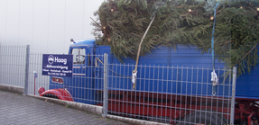 Ihre Weihnachtsbaum Bestellung in Bad Honnef und Umgebung nehmen wir auch gerne telefonisch entgegen.