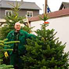 Unsere Produktpalette Weihnachtsbäe des Hof Kickartz im Raum Bad Honnef mit verschiedenen Arten.