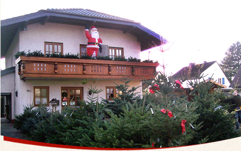 Die Qualitäts-Weihnachtsbäume aus Bad Honnef. Einen hochwertigen Weihnachtsbaum aus Bad Honnef erhalten Sie bei uns, Ihrem Hof Kickartz.